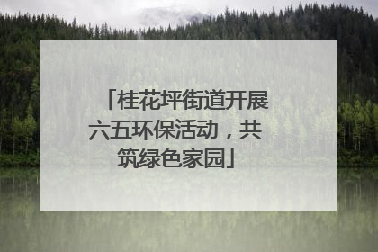 桂花坪街道开展六五环保活动，共筑绿色家园