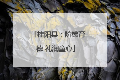 桂阳县：阶梯育德 礼润童心