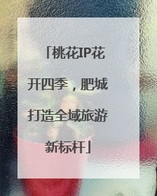 桃花IP花开四季，肥城打造全域旅游新标杆