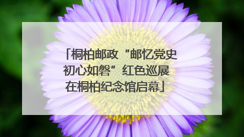 桐柏邮政“邮忆党史 初心如磐”红色巡展在桐柏纪念馆启幕