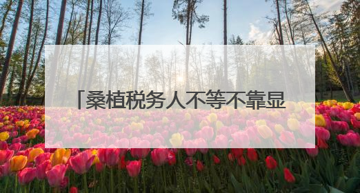 桑植税务人不等不靠显担当 全员捐款助力“6·18”洪灾重建