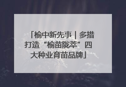 榆中新先事｜多措打造“榆苗陇萃”四大种业育苗品牌