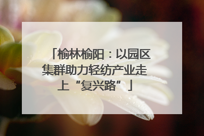榆林榆阳：以园区集群助力轻纺产业走上“复兴路”