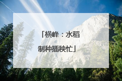 横峰：水稻制种插秧忙