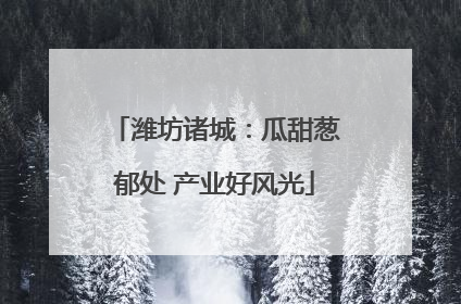 潍坊诸城：瓜甜葱郁处 产业好风光