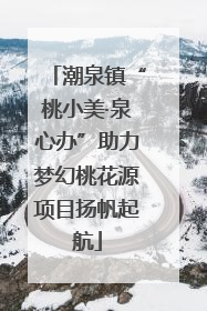 潮泉镇“桃小美·泉心办”助力梦幻桃花源项目扬帆起航
