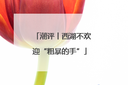 潮评丨西湖不欢迎“粗暴的手”