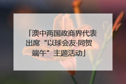 澳中两国政商界代表出席“以球会友·同贺端午”主题活动