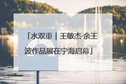 水双重｜王敏杰·余王波作品展在宁海启幕