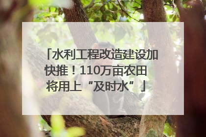 水利工程改造建设加快推！110万亩农田将用上“及时水”