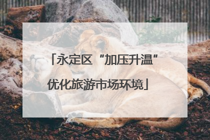 永定区“加压升温”优化旅游市场环境