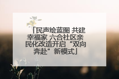 民声绘蓝图 共建幸福家 六合社区亲民化改造开启“双向奔赴”新模式