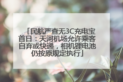 民航严查无3C充电宝首日：天河机场允许乘客自弃或快递，相机锂电池仍按原规定执行