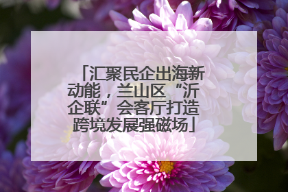 汇聚民企出海新动能，兰山区“沂企联”会客厅打造跨境发展强磁场