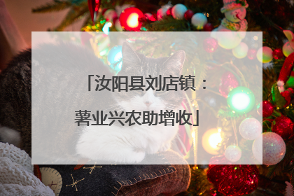 汝阳县刘店镇：薯业兴农助增收