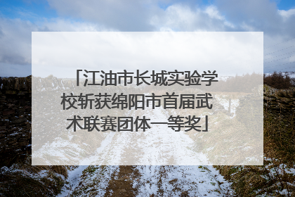 江油市长城实验学校斩获绵阳市首届武术联赛团体一等奖