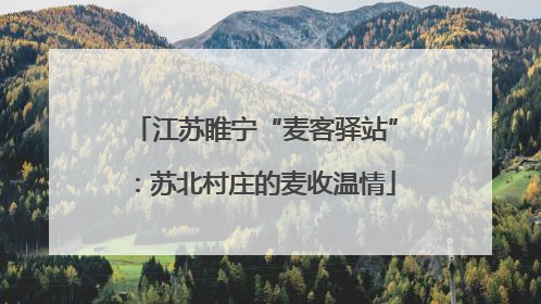 江苏睢宁“麦客驿站”：苏北村庄的麦收温情