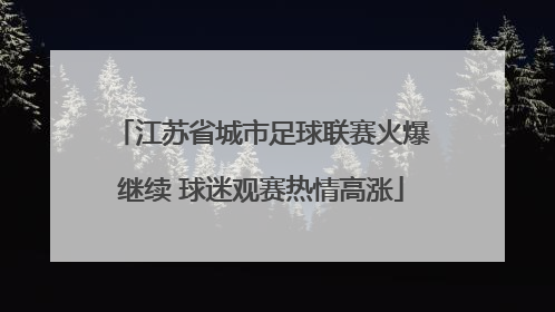 江苏省城市足球联赛火爆继续 球迷观赛热情高涨