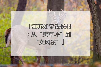 江苏如皋钱长村：从“卖草坪”到“卖风景”