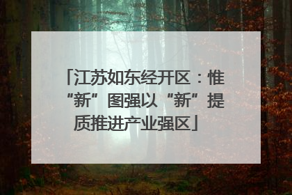 江苏如东经开区：惟“新”图强以“新”提质推进产业强区