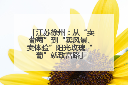 江苏徐州：从“卖葡萄”到“卖风景、卖体验”阳光玫瑰“葡”就致富路