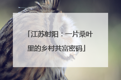 江苏射阳：一片桑叶里的乡村共富密码