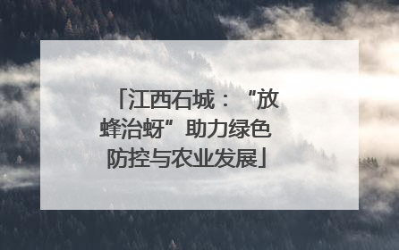 江西石城：“放蜂治蚜”助力绿色防控与农业发展