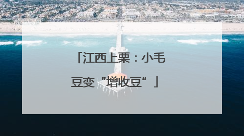 江西上栗：小毛豆变“增收豆”