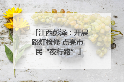 江西彭泽：开展路灯检修 点亮市民“夜行路”