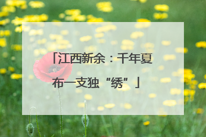 江西新余：千年夏布一支独“绣”