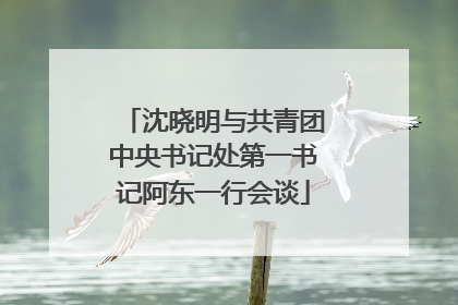 沈晓明与共青团中央书记处第一书记阿东一行会谈