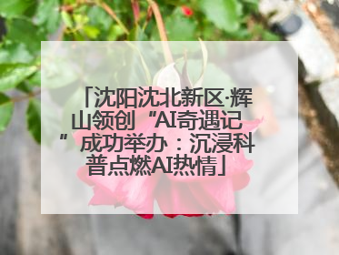 沈阳沈北新区·辉山领创“AI奇遇记”成功举办：沉浸科普点燃AI热情