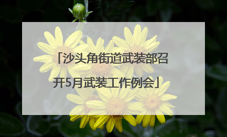 沙头角街道武装部召开5月武装工作例会