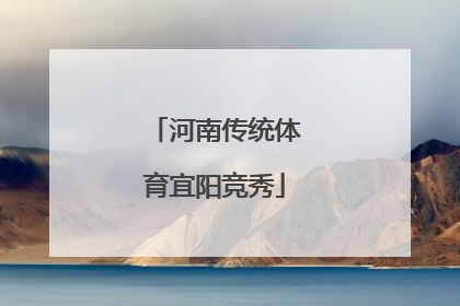 河南传统体育宜阳竞秀