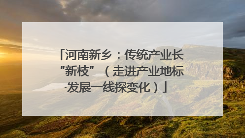 河南新乡：传统产业长“新枝”（走进产业地标·发展一线探变化）