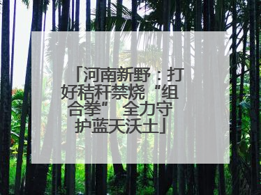河南新野：打好秸秆禁烧“组合拳” 全力守护蓝天沃土