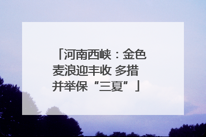 河南西峡：金色麦浪迎丰收 多措并举保“三夏”