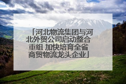 河北物流集团与河北外贸公司启动整合重组 加快培育全省商贸物流龙头企业