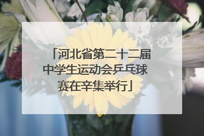河北省第二十二届中学生运动会乒乓球赛在辛集举行