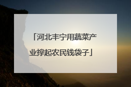 河北丰宁用蔬菜产业撑起农民钱袋子