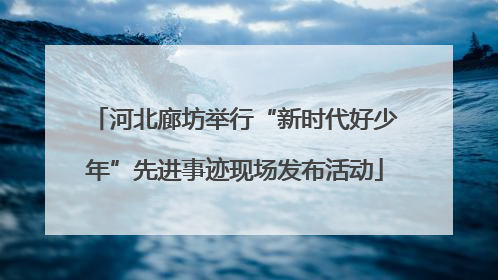 河北廊坊举行“新时代好少年”先进事迹现场发布活动