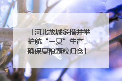 河北故城多措并举护航“三夏”生产 确保夏粮颗粒归仓