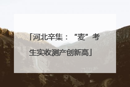 河北辛集：“麦”考生实收测产创新高