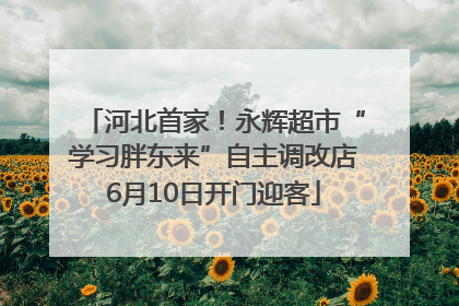 河北首家！永辉超市“学习胖东来”自主调改店6月10日开门迎客