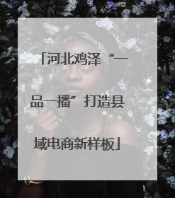 河北鸡泽“一品一播”打造县域电商新样板