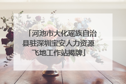 河池市大化瑶族自治县驻深圳宝安人力资源飞地工作站揭牌