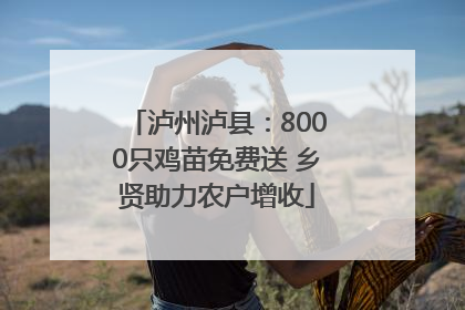 泸州泸县：8000只鸡苗免费送 乡贤助力农户增收