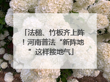 法槌、竹板齐上阵！河南普法“新阵地”这样接地气