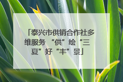 泰兴市供销合作社多维服务 “供”绘“三夏”好“丰”景
