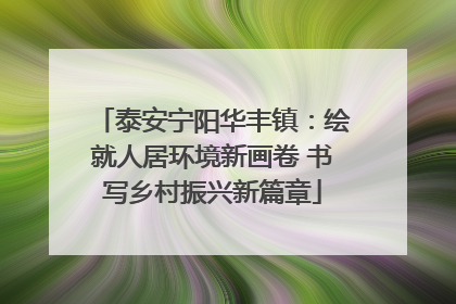 泰安宁阳华丰镇：绘就人居环境新画卷 书写乡村振兴新篇章